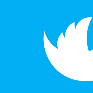 Twitters fågel flyger nedåt