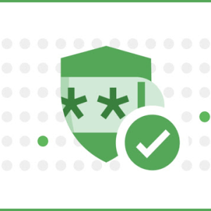 Password Checkup-logotypen