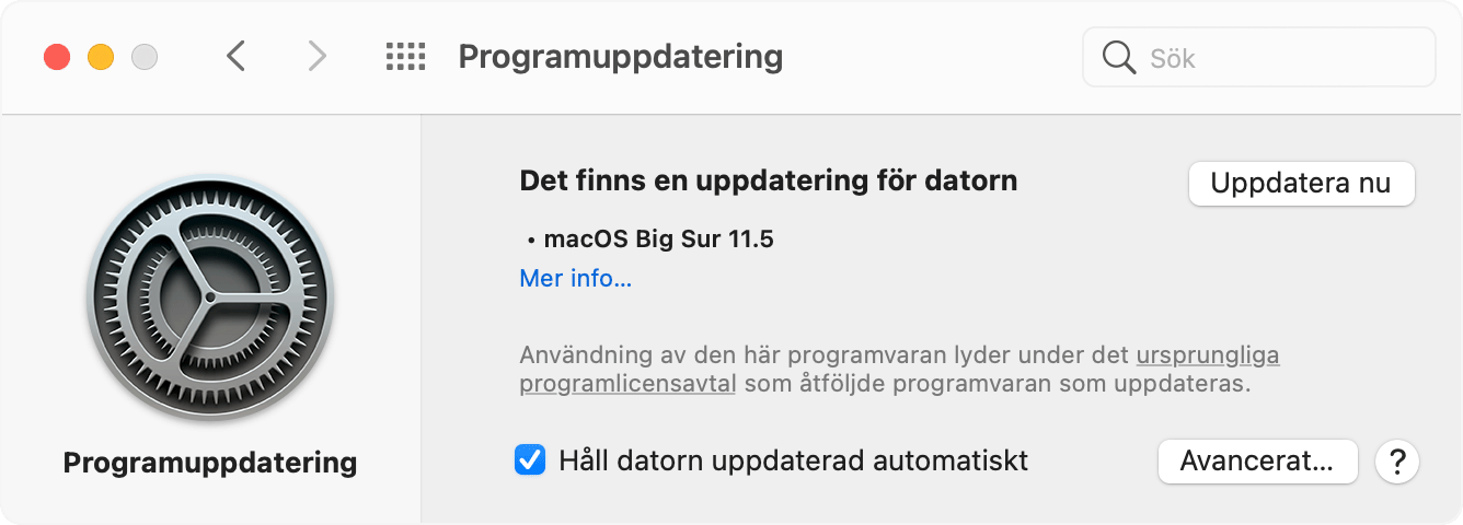 Programuppdatering på Mac OS Big Sur meddelar att det finns uppdateringar.