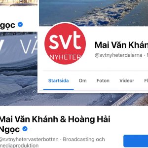 Skärmdumpar av de tre kapade Facebook-sidorna.