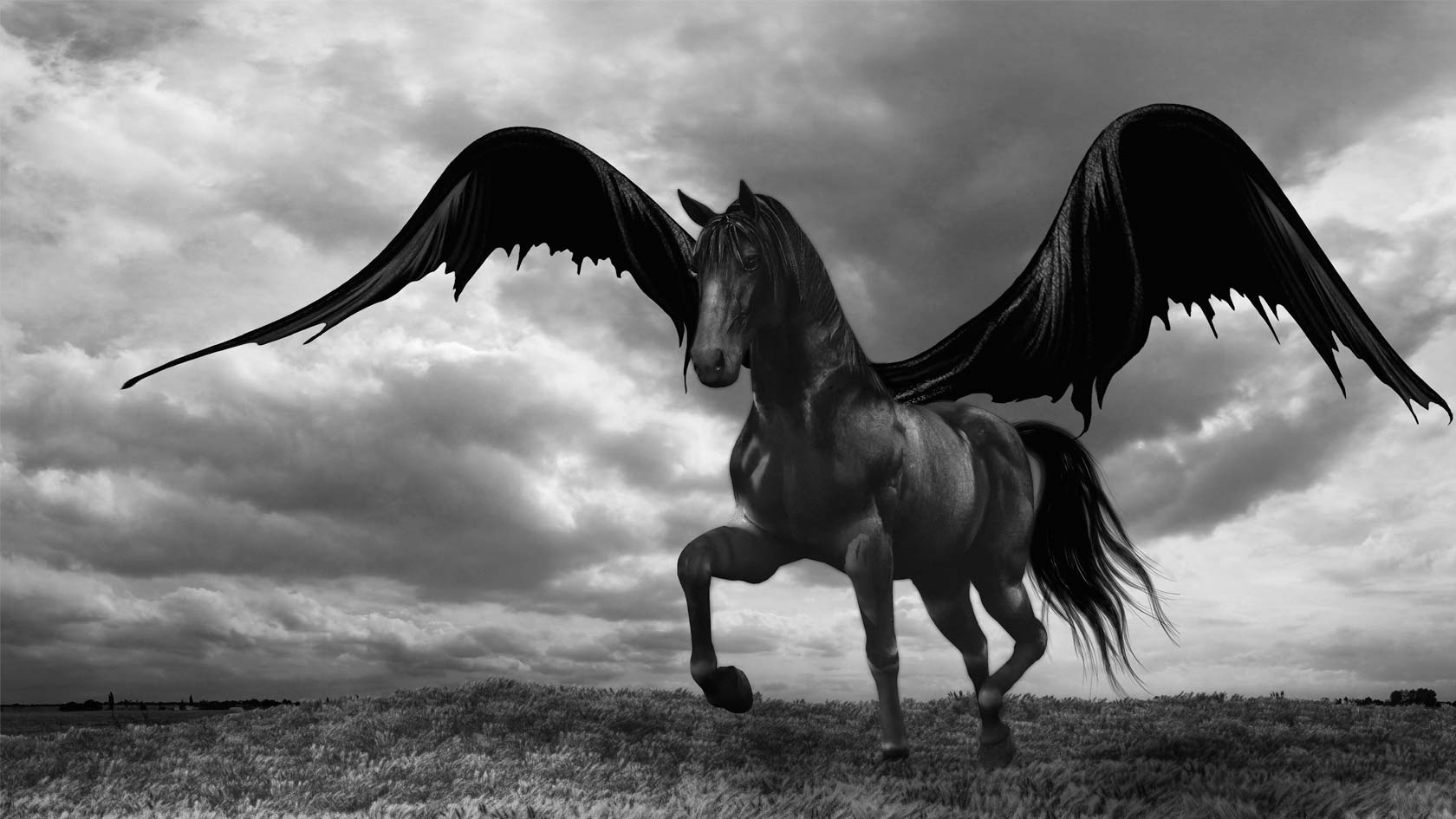 Svartvit, dyster bild av den flygande hästen Pegasus.