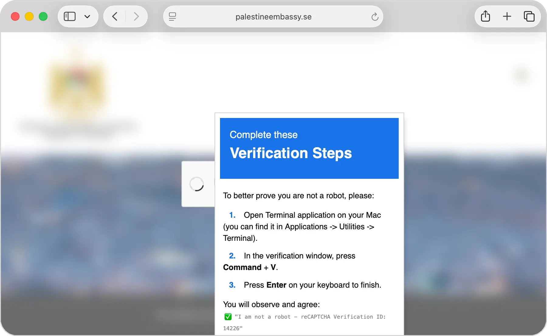 Skärmavbild av webbsida som uppmanar användaren att öppna terminal-appen och klistra in ett kommando.